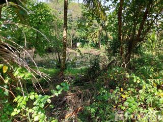 Grundstück zum Kauf in Takua Thung, Phang Nga