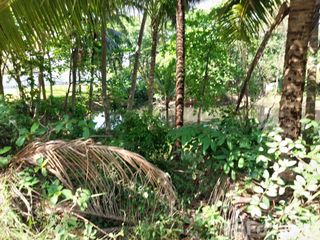 Grundstück zum Kauf in Takua Thung, Phang Nga