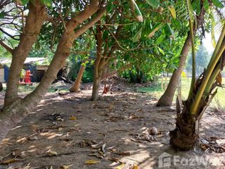 Grundstück zum Kauf in Takua Thung, Phang Nga