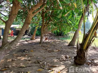 Grundstück zum Kauf in Takua Thung, Phang Nga