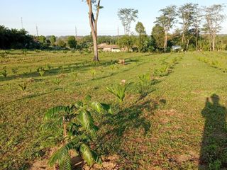 For sale land in Thai Mueang, Phang Nga