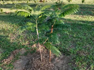 For sale land in Thai Mueang, Phang Nga