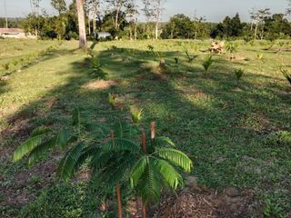 For sale land in Thai Mueang, Phang Nga