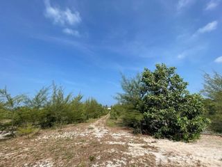 For sale land in Takua Thung, Phang Nga