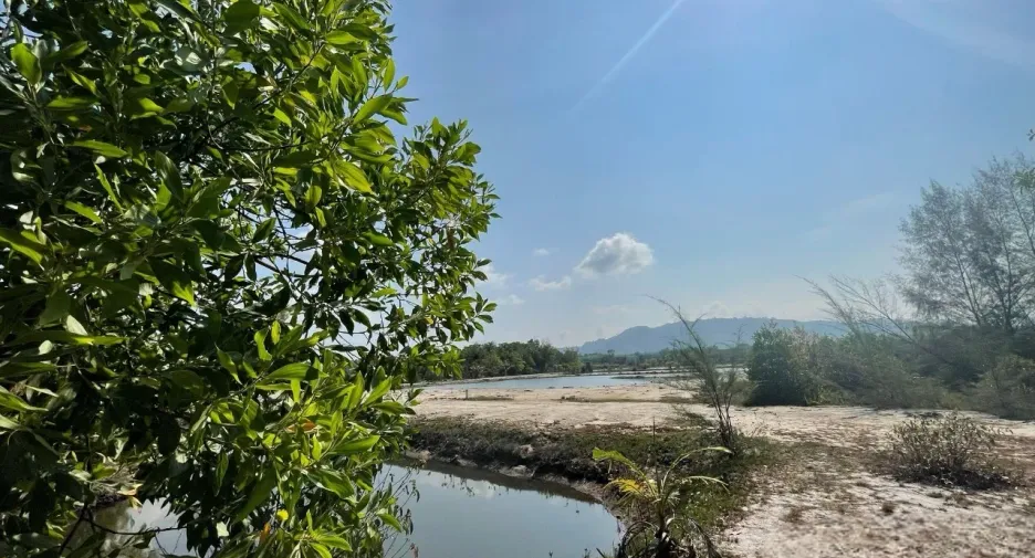 For sale land in Takua Thung, Phang Nga