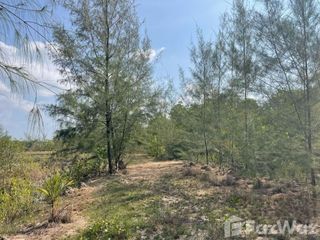 For sale land in Takua Thung, Phang Nga
