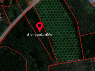 ขาย ที่ดิน ใน ตะกั่วทุ่ง, พังงา