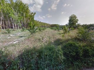 ขาย ที่ดิน ใน ตะกั่วทุ่ง, พังงา
