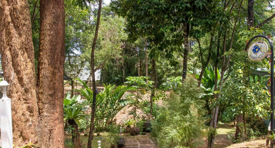 For sale land in Takua Pa, Phang Nga