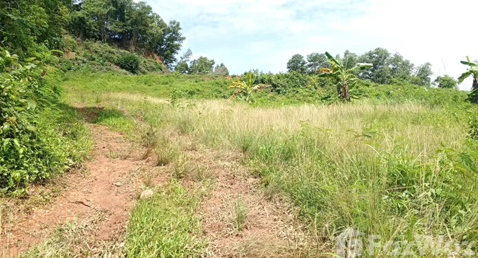 出售 土地 在 Phuket Town, 普吉