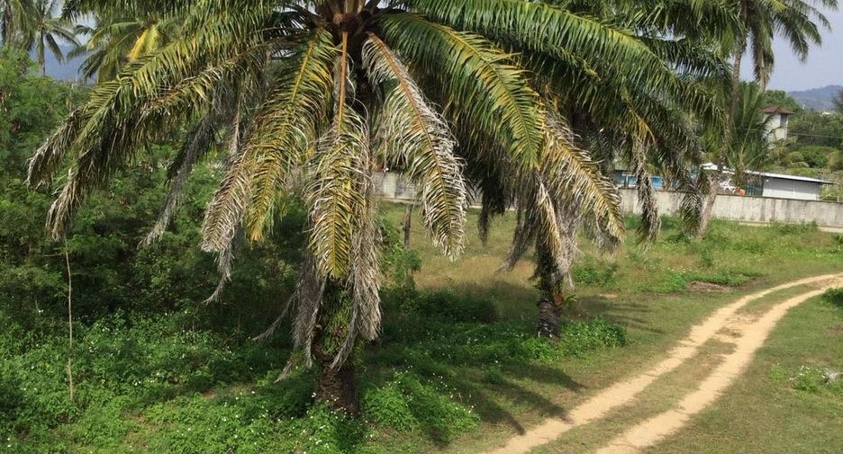 For sale land in Takua Pa, Phang Nga