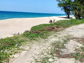 For sale land in Thai Mueang, Phang Nga