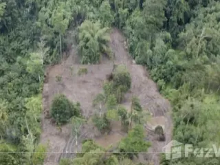 For sale land in Takua Thung, Phang Nga