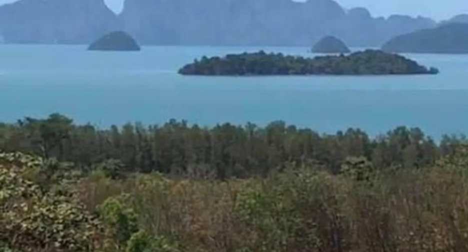 For sale land in Mueang Phangnga, Phang Nga