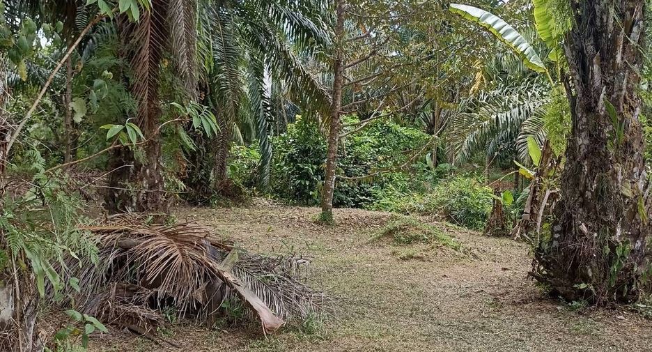 For sale land in Thai Mueang, Phang Nga