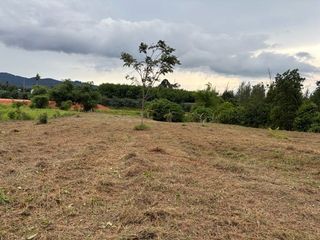 出售 土地 在 Takua Pa, Phangnga