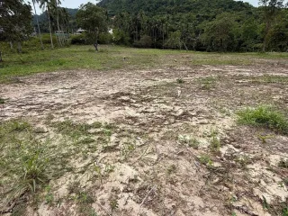 Grundstück zum Kauf in Ko Samui, Surat Thani
