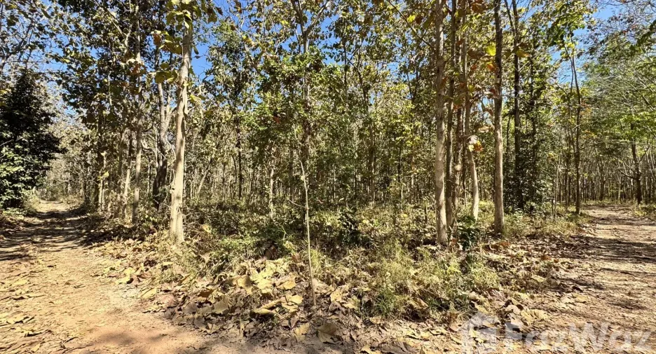 For sale land in Phanna Nikhom, Sakon Nakhon