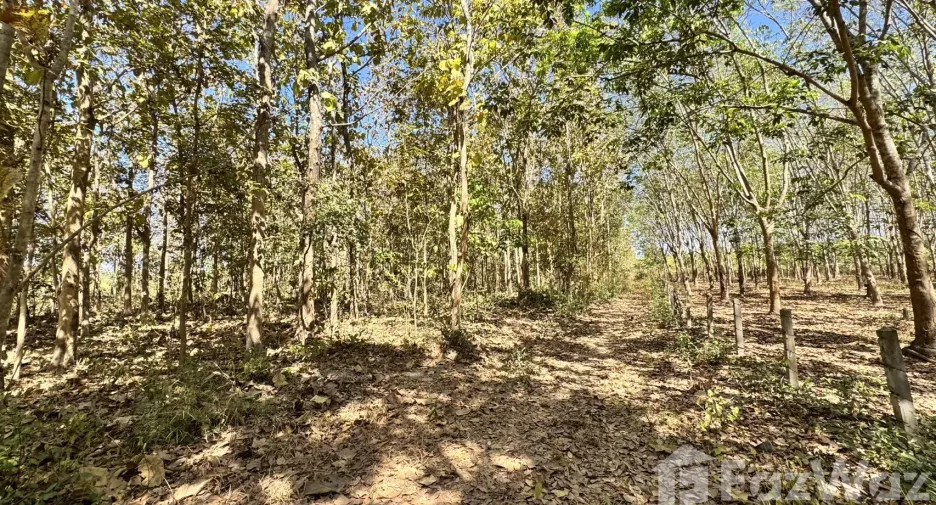 For sale land in Phanna Nikhom, Sakon Nakhon