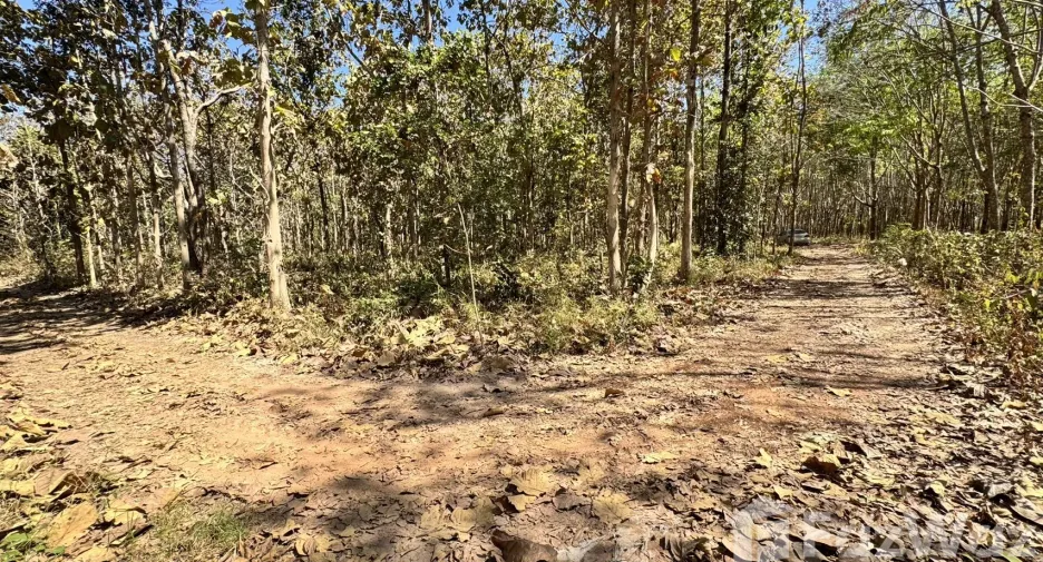 For sale land in Phanna Nikhom, Sakon Nakhon