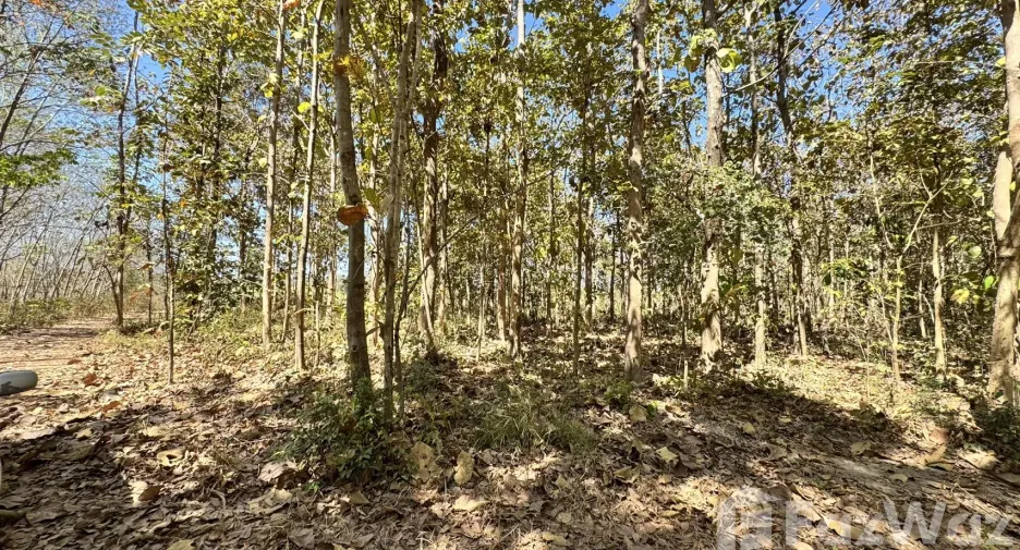 For sale land in Phanna Nikhom, Sakon Nakhon