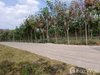 出售 土地 在 Pluak Daeng, Rayong