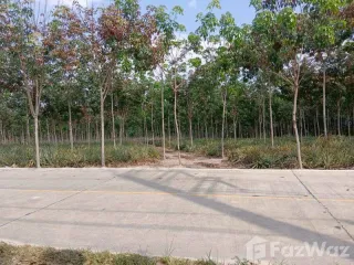 出售 土地 在 Pluak Daeng, Rayong