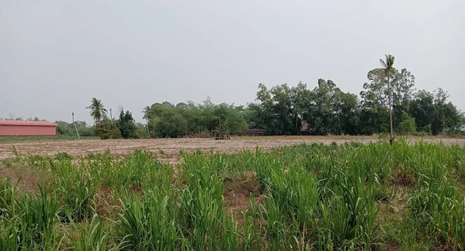 For sale land in Ban Chang, Rayong