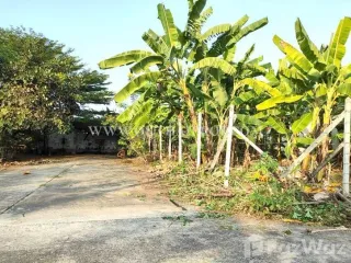 For sale land in Sam Phran, Nakhon Pathom