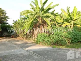 For sale land in Sam Phran, Nakhon Pathom