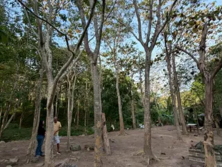 For sale land in Ko Samui, Surat Thani