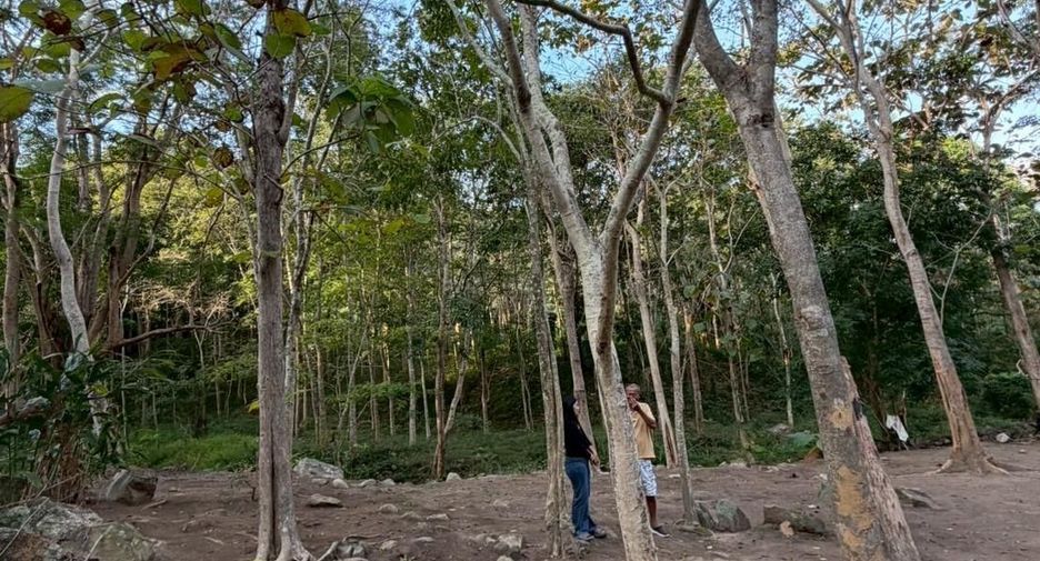 For sale land in Ko Samui, Surat Thani