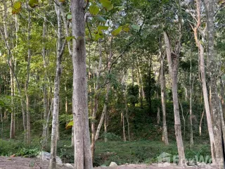 For sale land in Ko Samui, Surat Thani