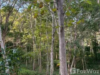 For sale land in Ko Samui, Surat Thani