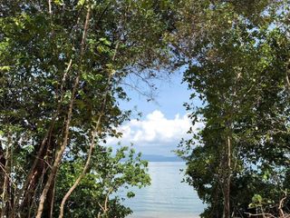 For sale land in Ko Yao, Phang Nga