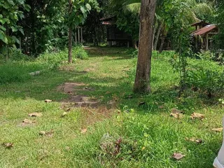 ขาย ที่ดิน ใน ลำปลายมาศ, บุรีรัมย์