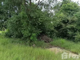 ขาย ที่ดิน ใน ลำปลายมาศ, บุรีรัมย์