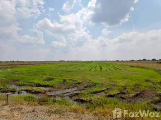 Grundstück zum Kauf in Bang Nam Priao, Chachoengsao