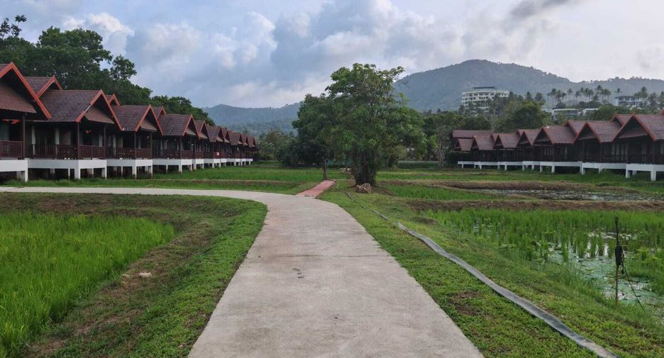 Hotel zum Kauf mit 51 Zimmer in Ko Samui, Surat Thani