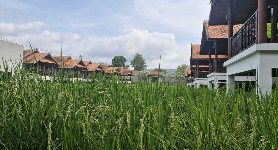 Hotel zum Kauf mit 51 Zimmer in Ko Samui, Surat Thani