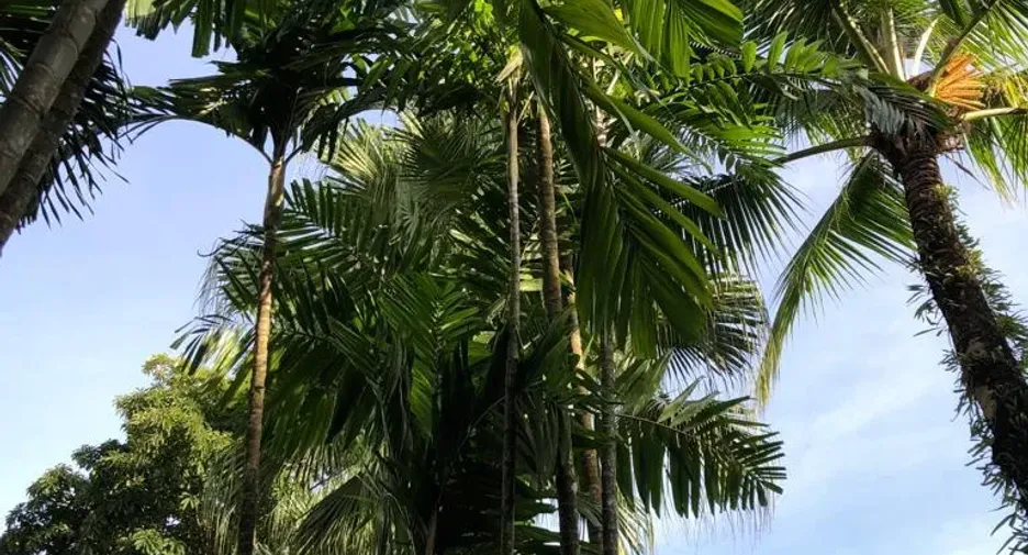 For sale 2 bedrooms condo in Thalang, Phuket