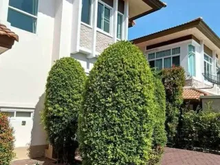 For rent 3 bedrooms house in Saraphi, Chiang Mai