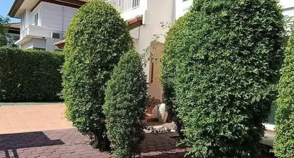 For rent 3 bedrooms house in Saraphi, Chiang Mai