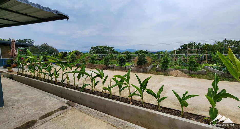 For sale 4 bedrooms house in San Pa Tong, Chiang Mai