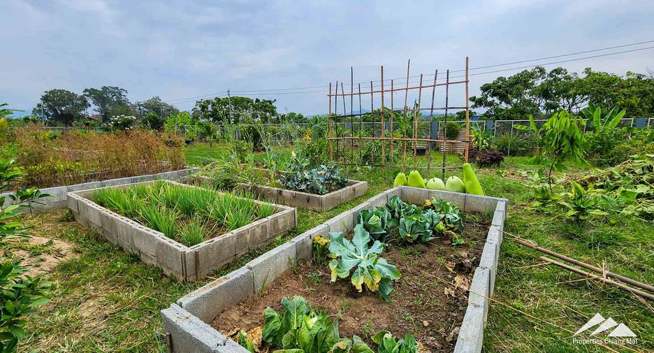 For sale 4 bedrooms house in San Pa Tong, Chiang Mai
