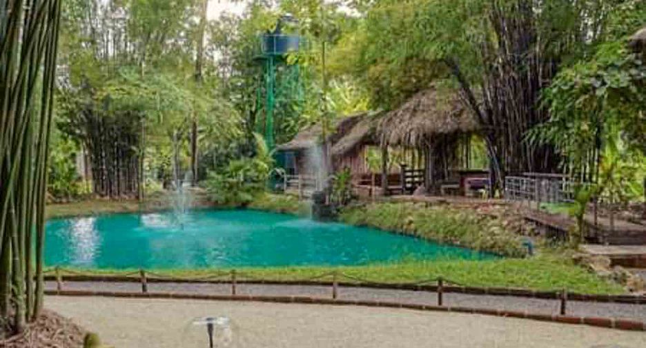 Local comercial en venta en San Kamphaeng, Chiang Mai