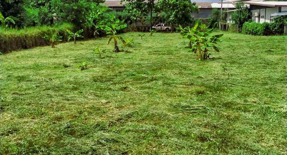Terreno en venta en San Kamphaeng, Chiang Mai