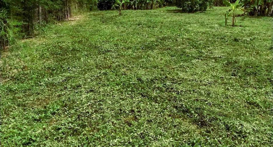 Terreno en venta en San Kamphaeng, Chiang Mai