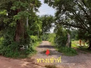 出售 土地 在 Klaeng, Rayong
