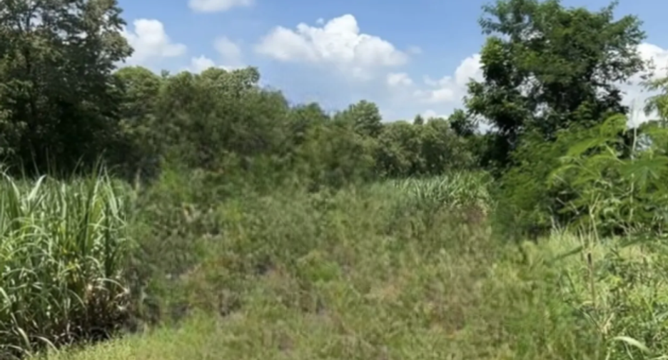 For sale land in Phatthana Nikhom, Lopburi
